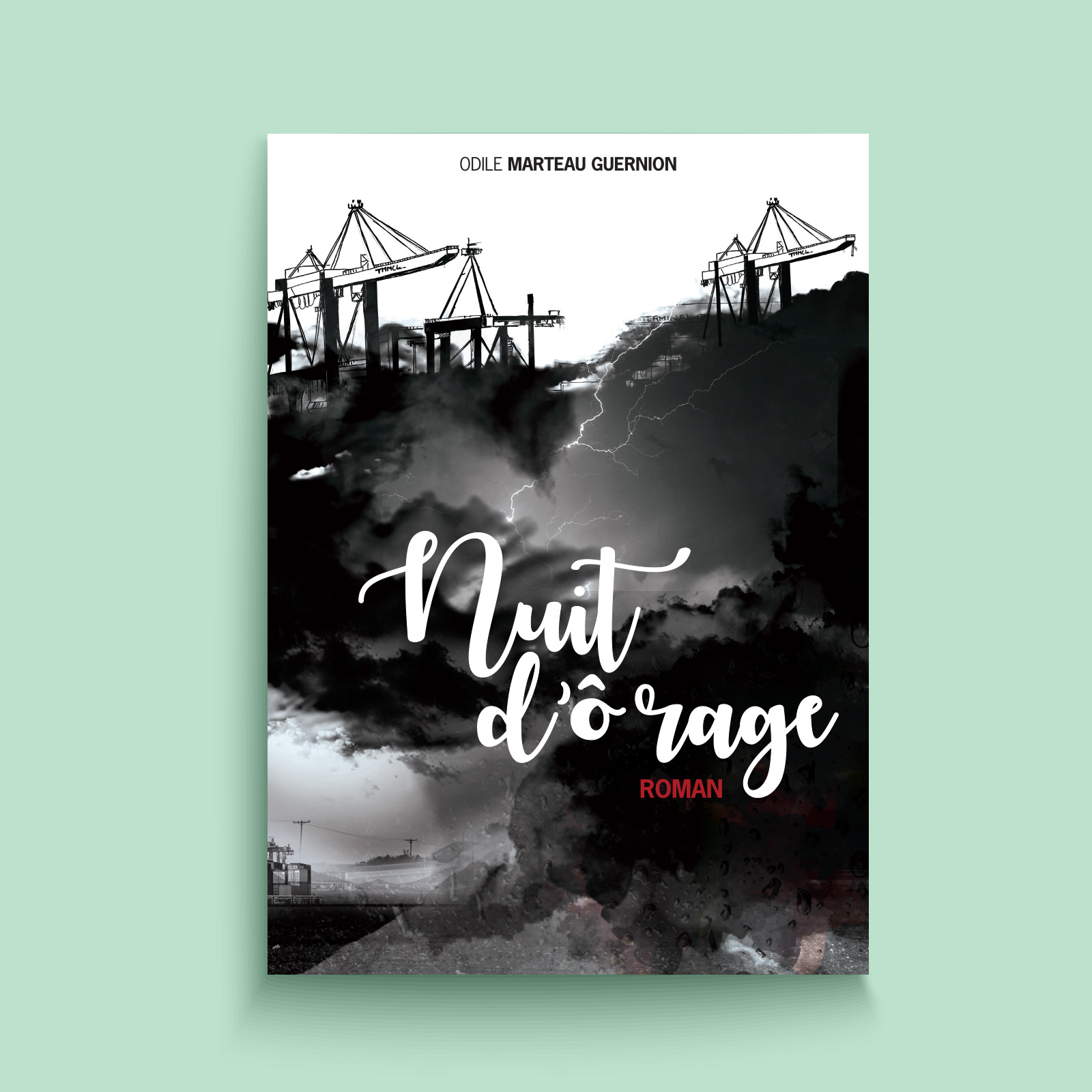 Laureline Guernion – Nuit d’ô rage Illustration